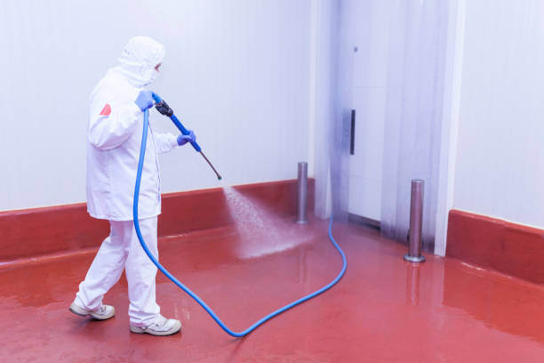 Best House Exterior Washing  in Bartonsville, MD